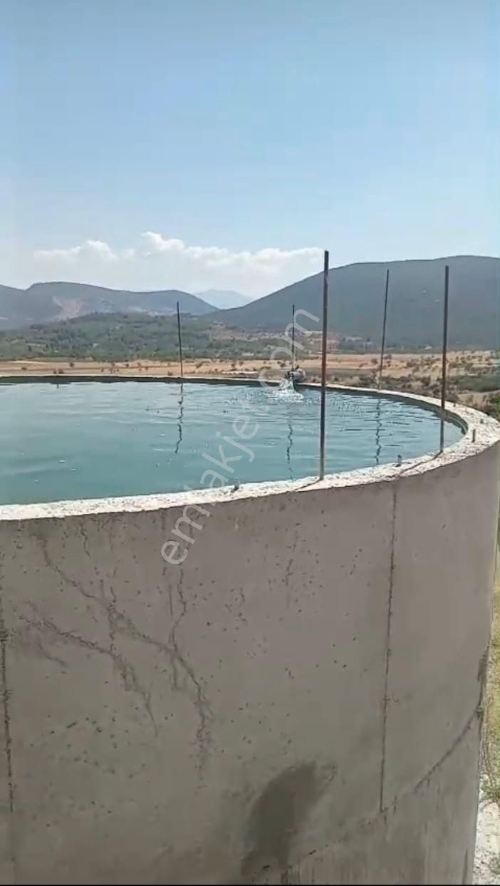 Denizli Tavas Ulukentte 37.000 M2 Ceviz Bahçesi Satılık - Görsel 4