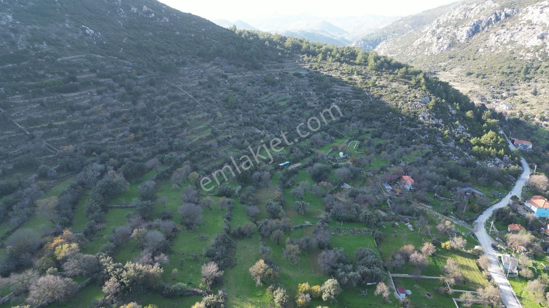 Joker: Söğüt Bahçeli Evlere Komşu Yatırıma Uygun Tarla - Görsel 4