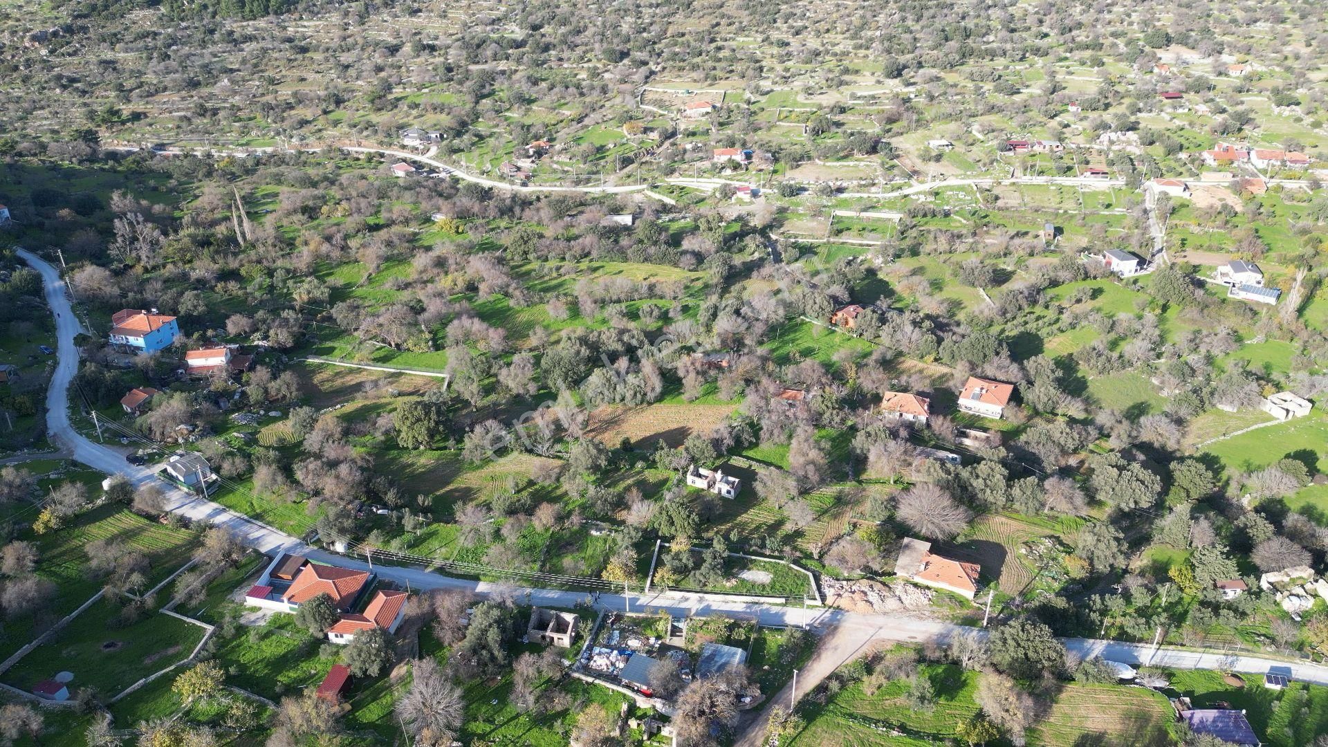 Joker: Söğüt Bahçeli Evlere Komşu Yatırıma Uygun Tarla - Görsel 3