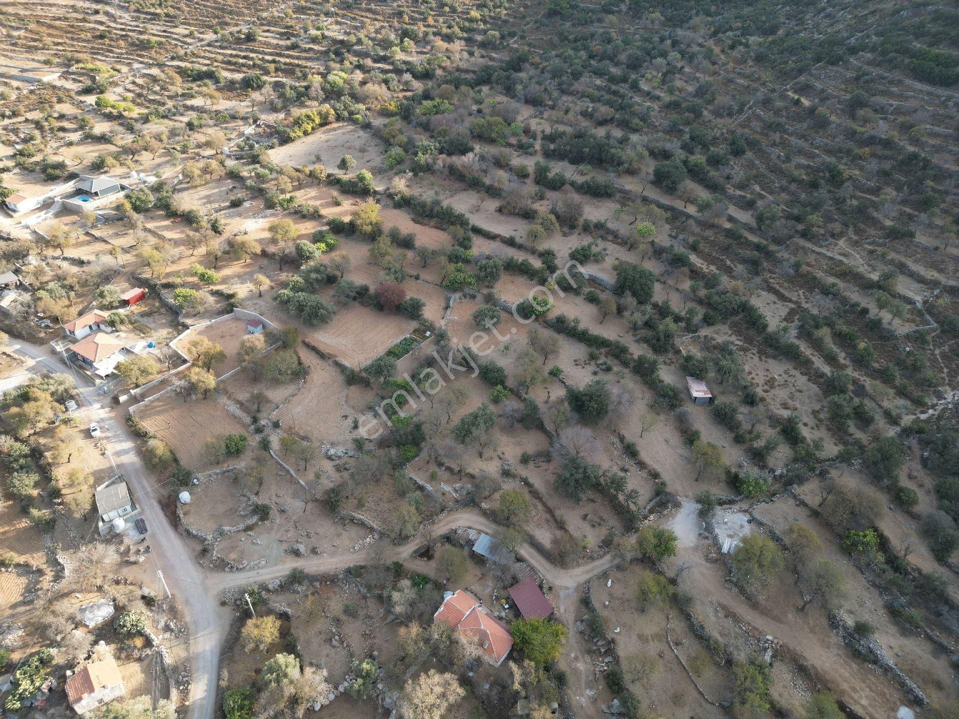 Joker: Söğüt Bahçeli Evlere Komşu Yatırıma Uygun Tarla - Görsel 2