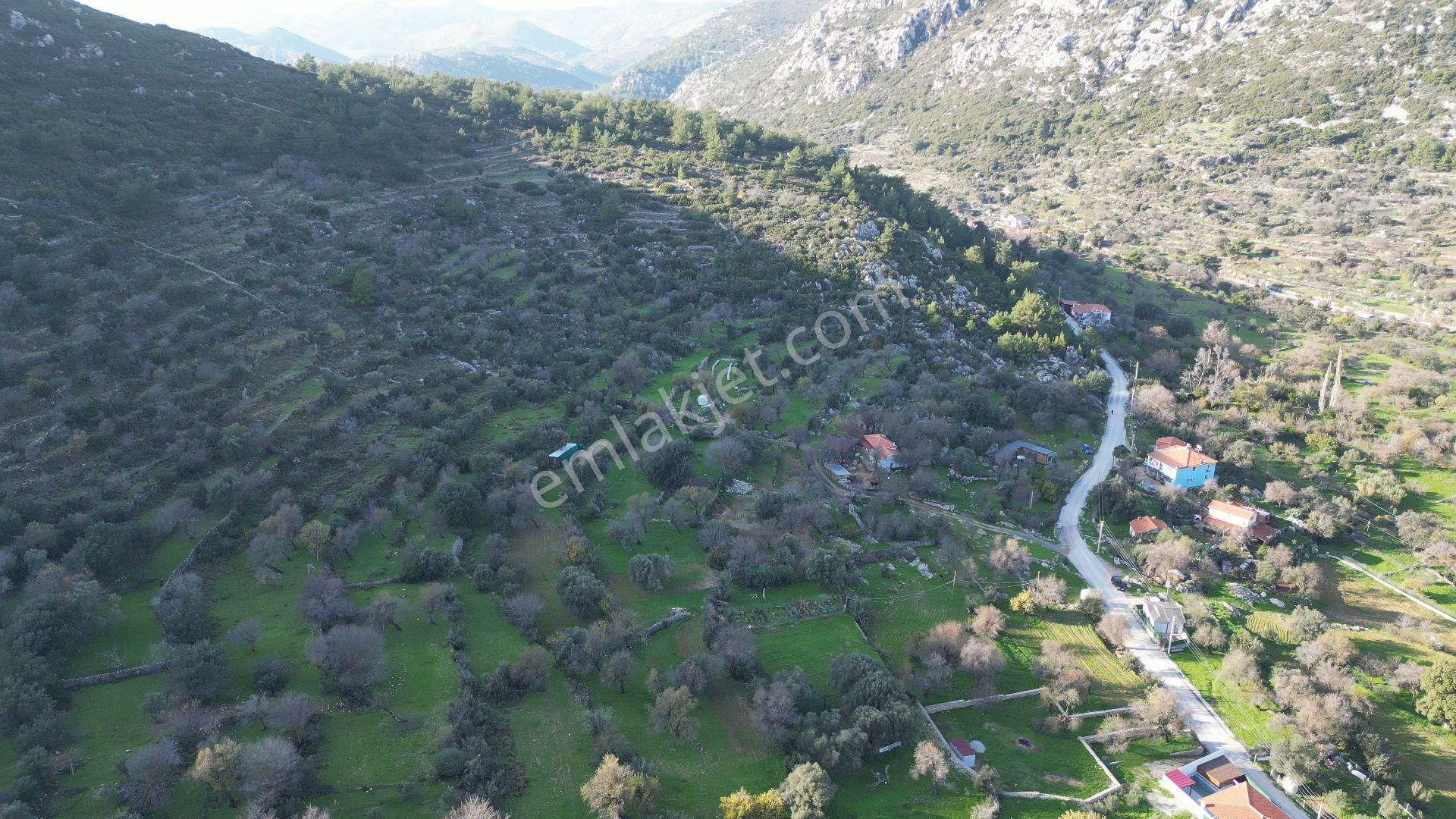 Joker: Söğüt Bahçeli Evlere Komşu Yatırıma Uygun Tarla - Görsel 6