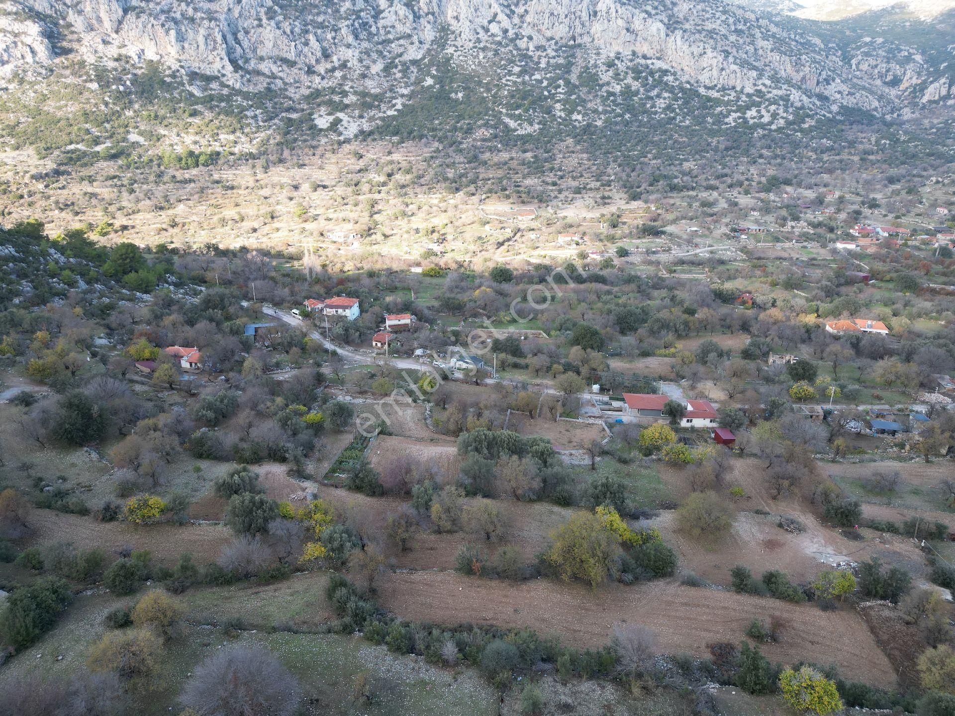 Joker: Söğüt Bahçeli Evlere Komşu Yatırıma Uygun Tarla