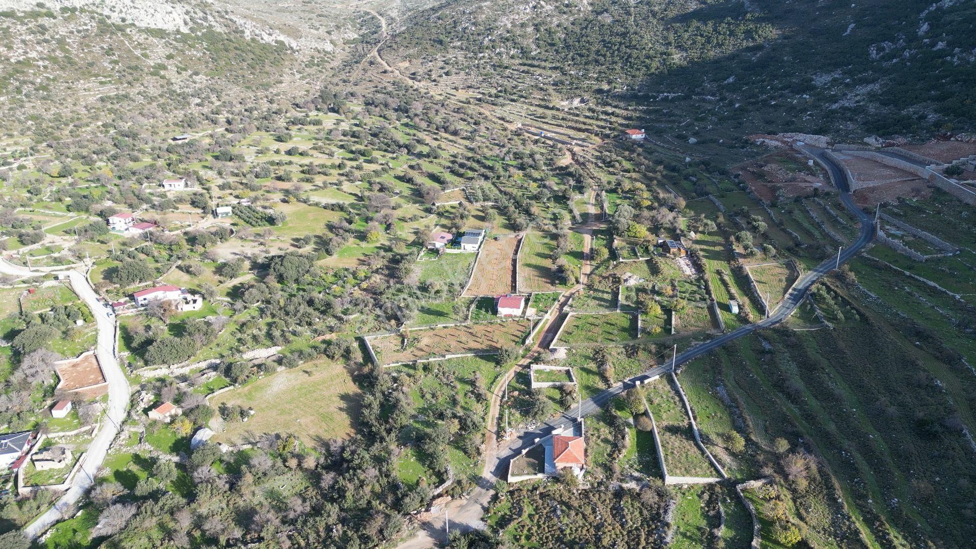 Joker: Söğüt Bahçeli Evlere Komşu Yatırıma Uygun Tarla - Görsel 5