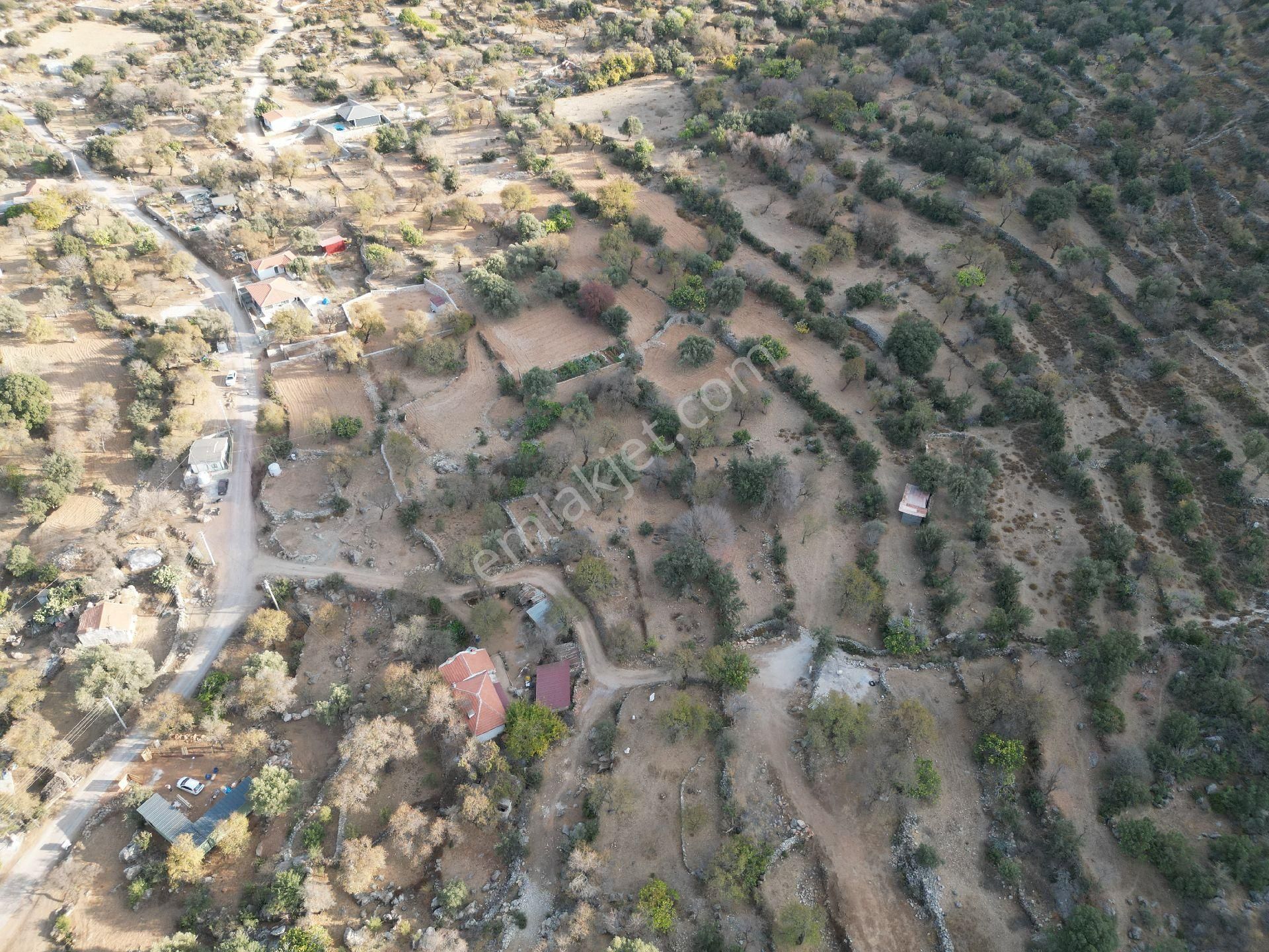 Joker: Söğüt Bahçeli Evlere Komşu Yatırıma Uygun Tarla - Görsel 7