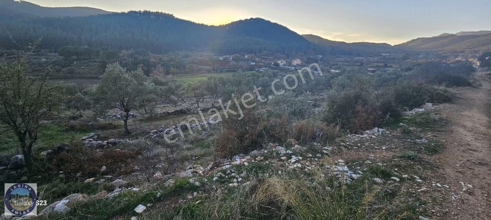 Muğla Yatağan'da Köy İçi İmarlı Tarla - Görsel 5