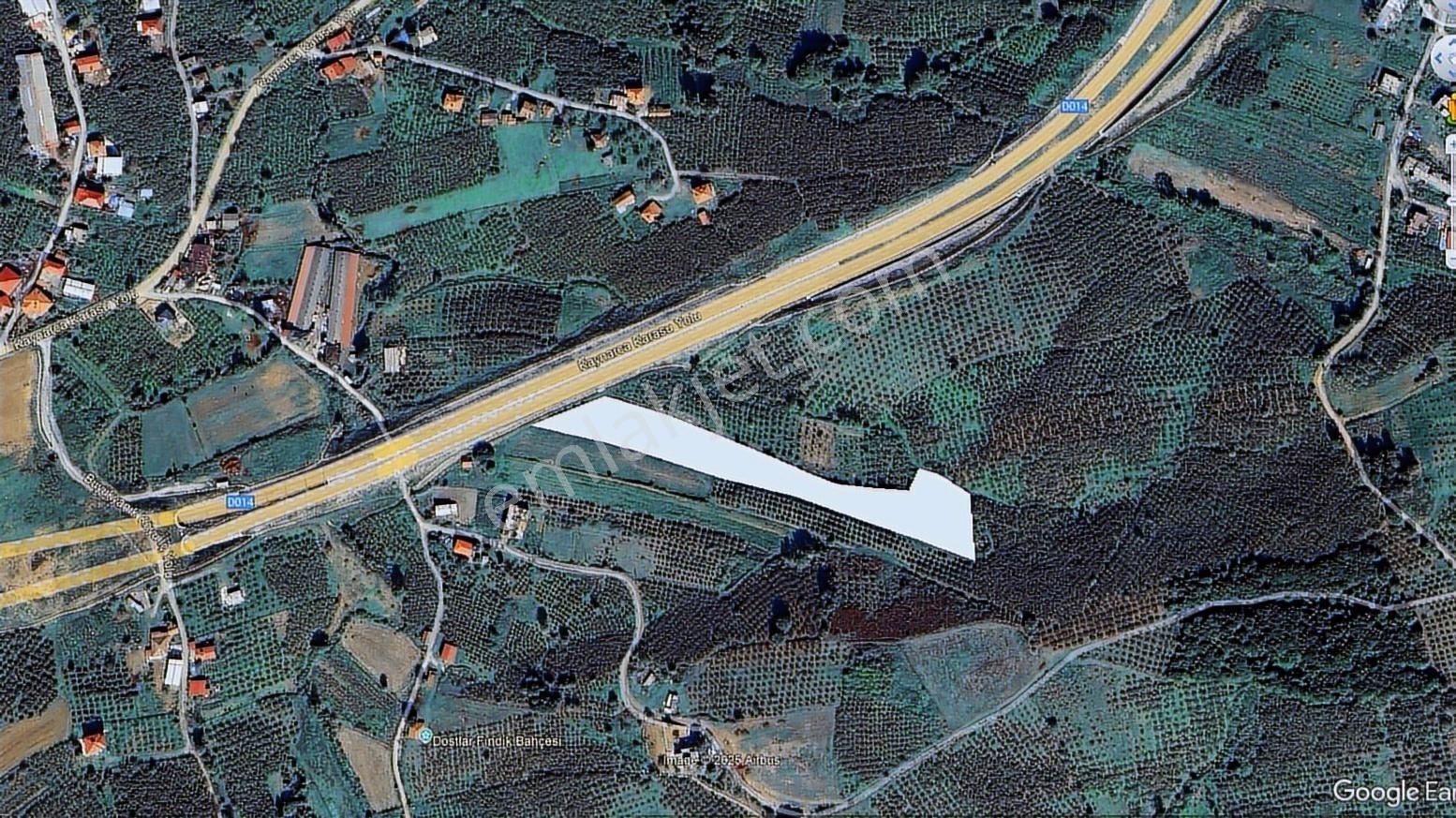 Kaynarca Büyükyanık Mah. 9.641m2 Satılık Fındık Bahçesi - Görsel 11
