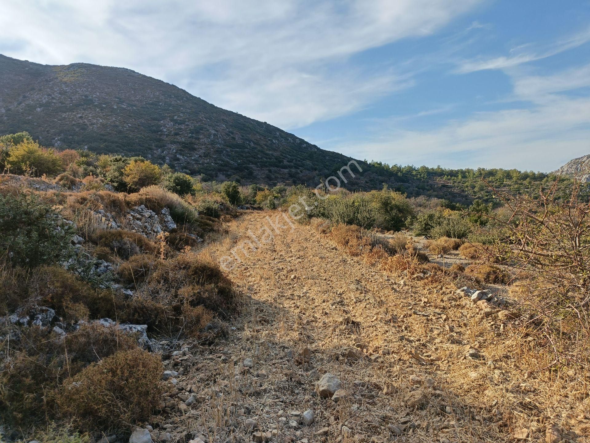 Joker: Marmaris Söğüt Yol Cepheli Yerleşim Alanında Satılık Tarla - Görsel 9