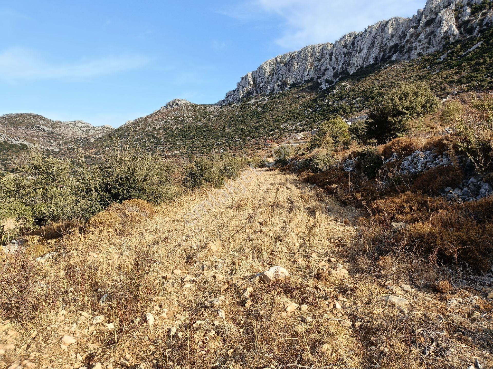 Joker: Marmaris Söğüt Yol Cepheli Yerleşim Alanında Satılık Tarla - Görsel 3