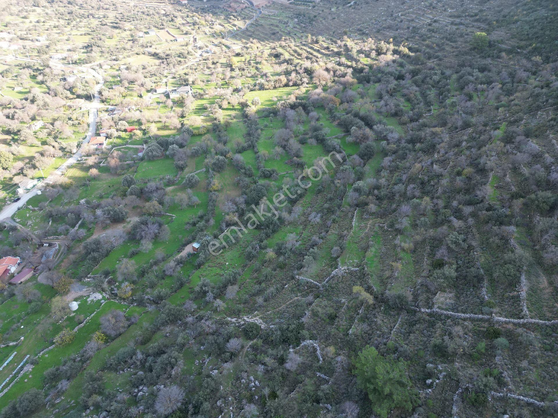 Joker: Marmaris Söğüt Yol Cepheli Yerleşim Alanında Satılık Tarla - Görsel 18