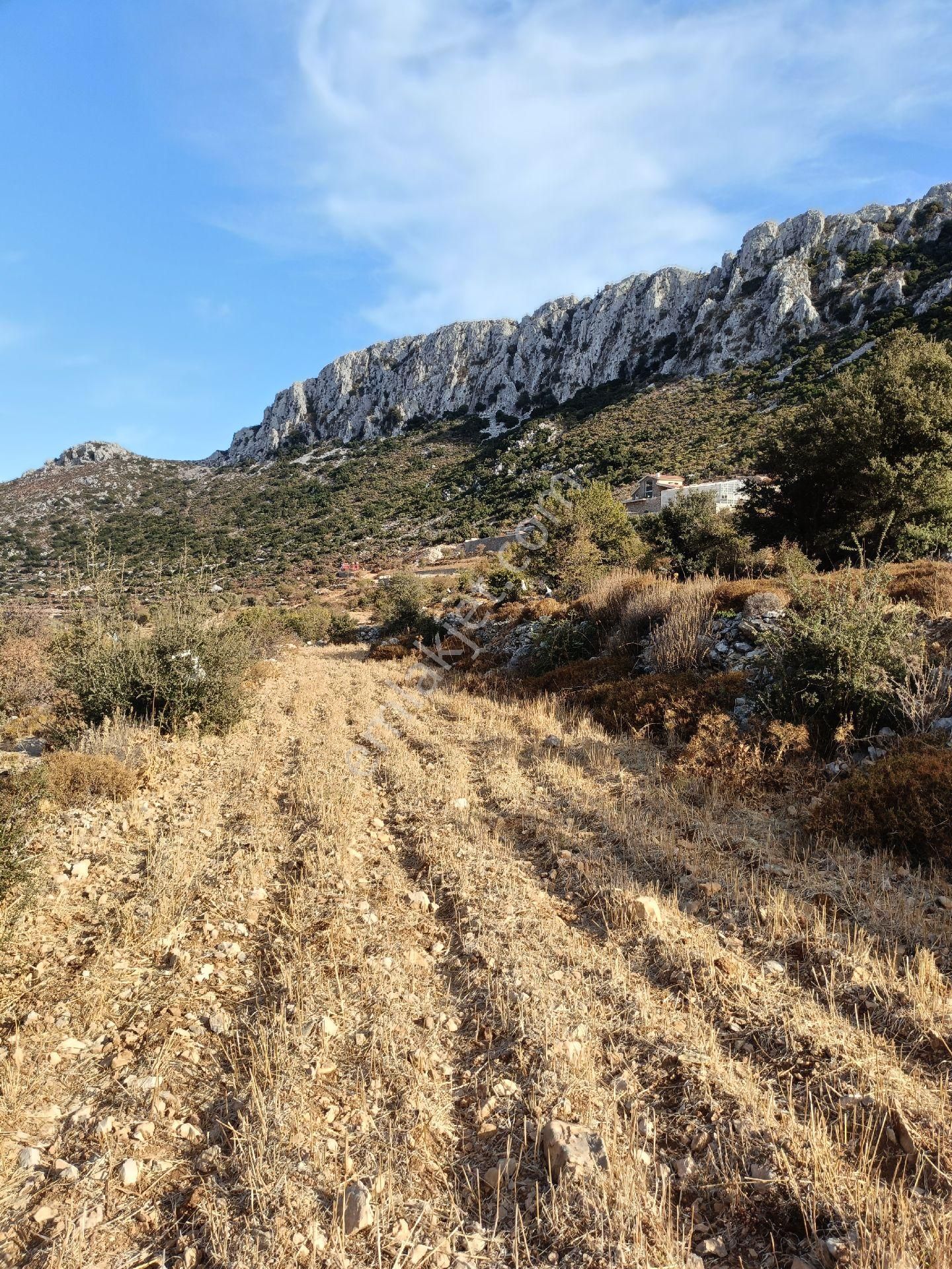 Joker: Marmaris Söğüt Yol Cepheli Yerleşim Alanında Satılık Tarla - Görsel 2