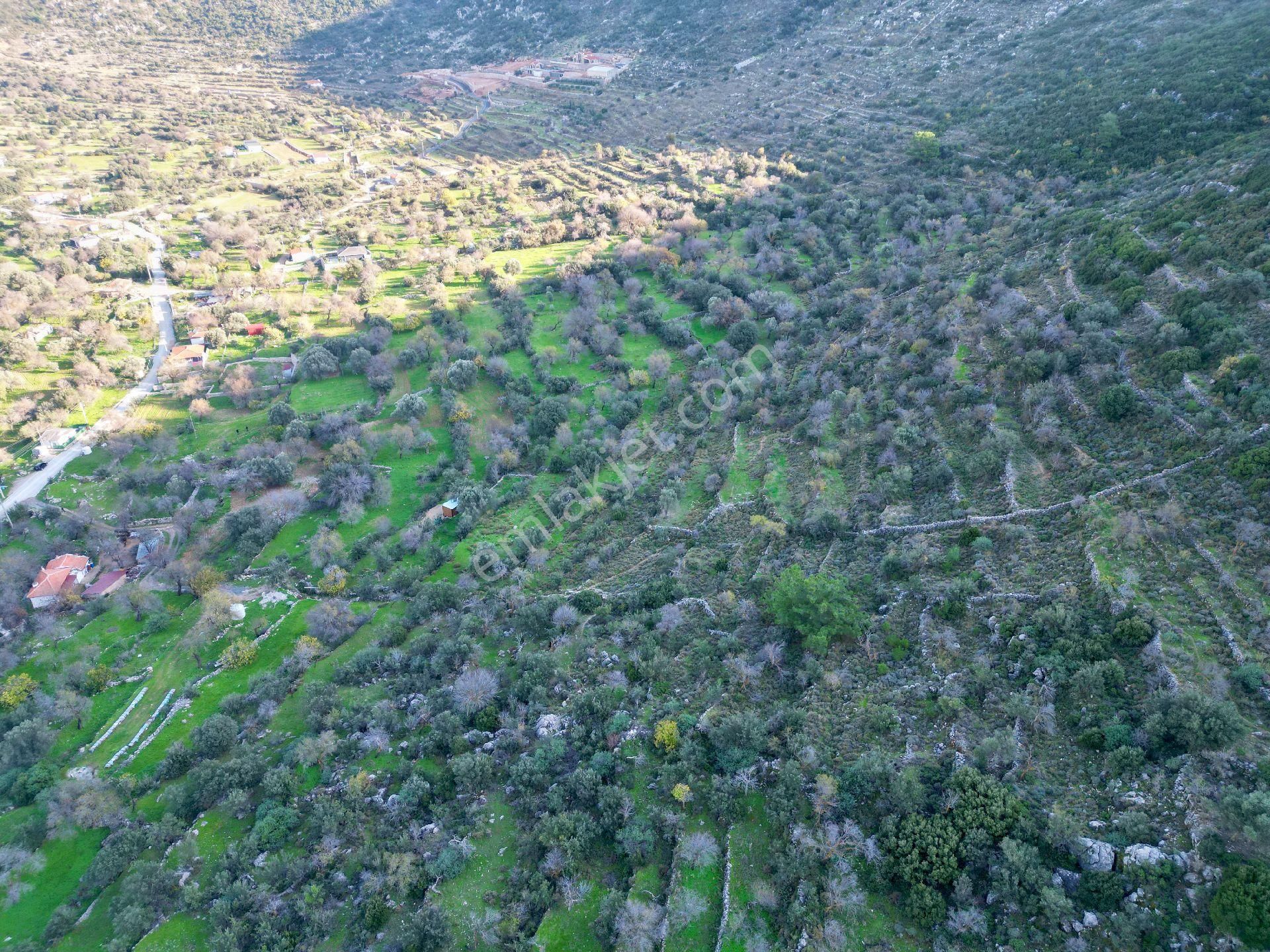 Joker: Marmaris Söğüt Yol Cepheli Yerleşim Alanında Satılık Tarla - Görsel 4
