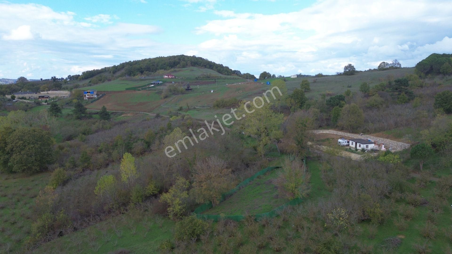 Dc Gayrimenkul Den Geredelı Köyün De 76 M2 Arazi - Görsel 3