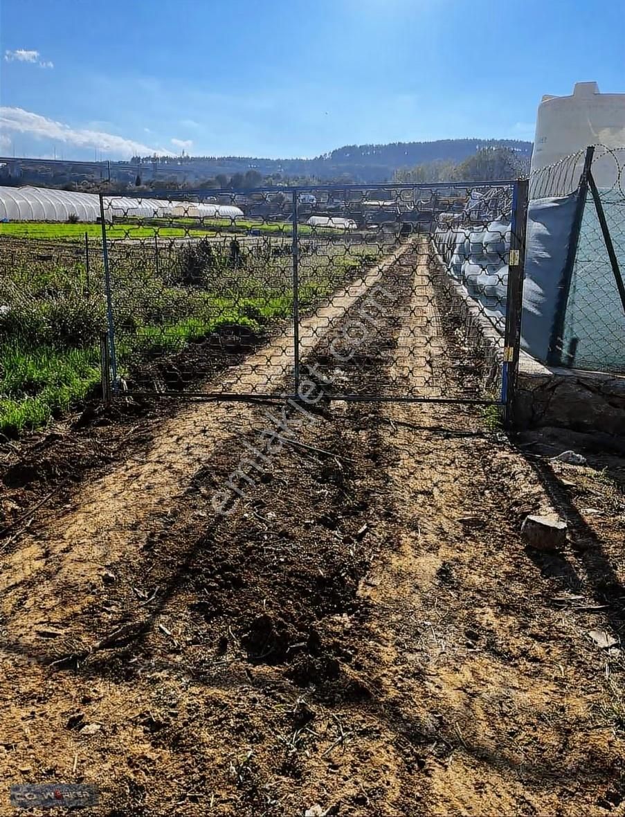 Elektrik, Su, Yol, Kapı Numarası Hazır! Şile Yoluna Cepheli Arsa - Görsel 4