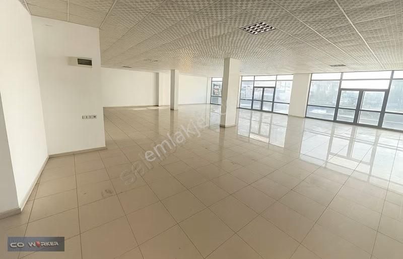 Aydınlı'da Cadde Üzeri Ticari Alan +25 Mt Cephe 5 Yıl Zam Yok - Görsel 3