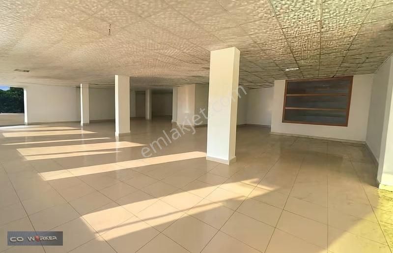 Aydınlı'da Cadde Üzeri Ticari Alan +25 Mt Cephe 5 Yıl Zam Yok - Görsel 11