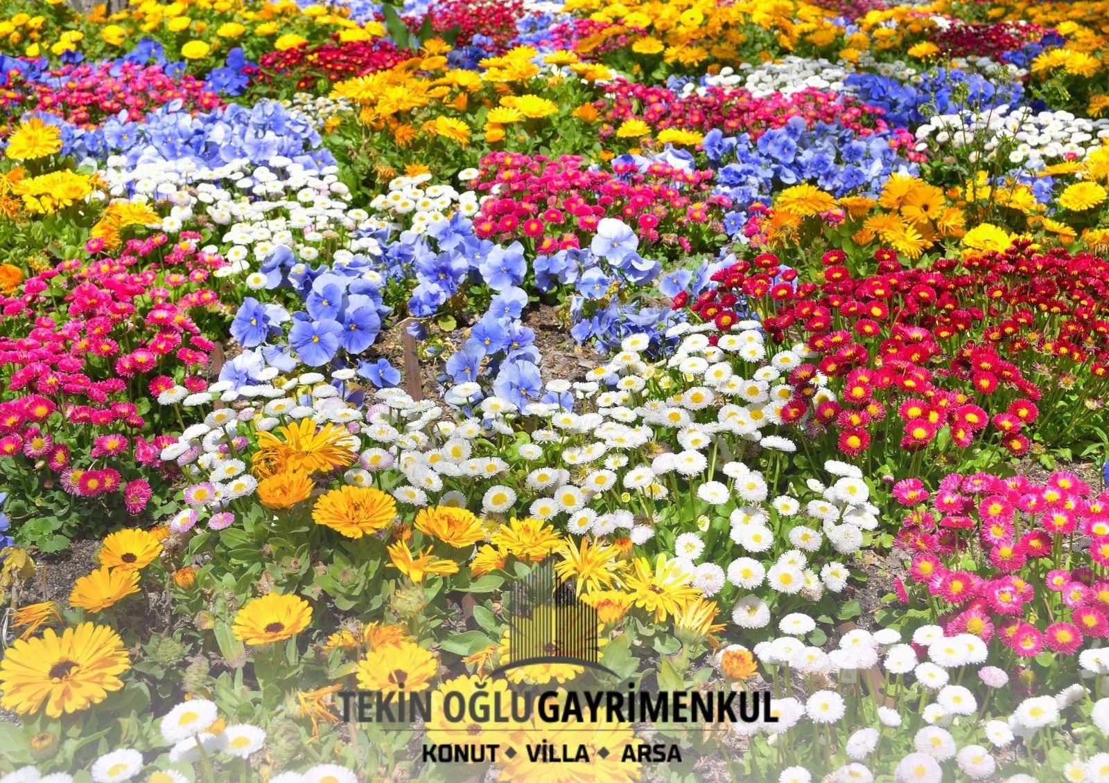 🎉🌿meram Karadiğin'de 406 M² Müstakil Tapulu Bahçe - Görsel 2