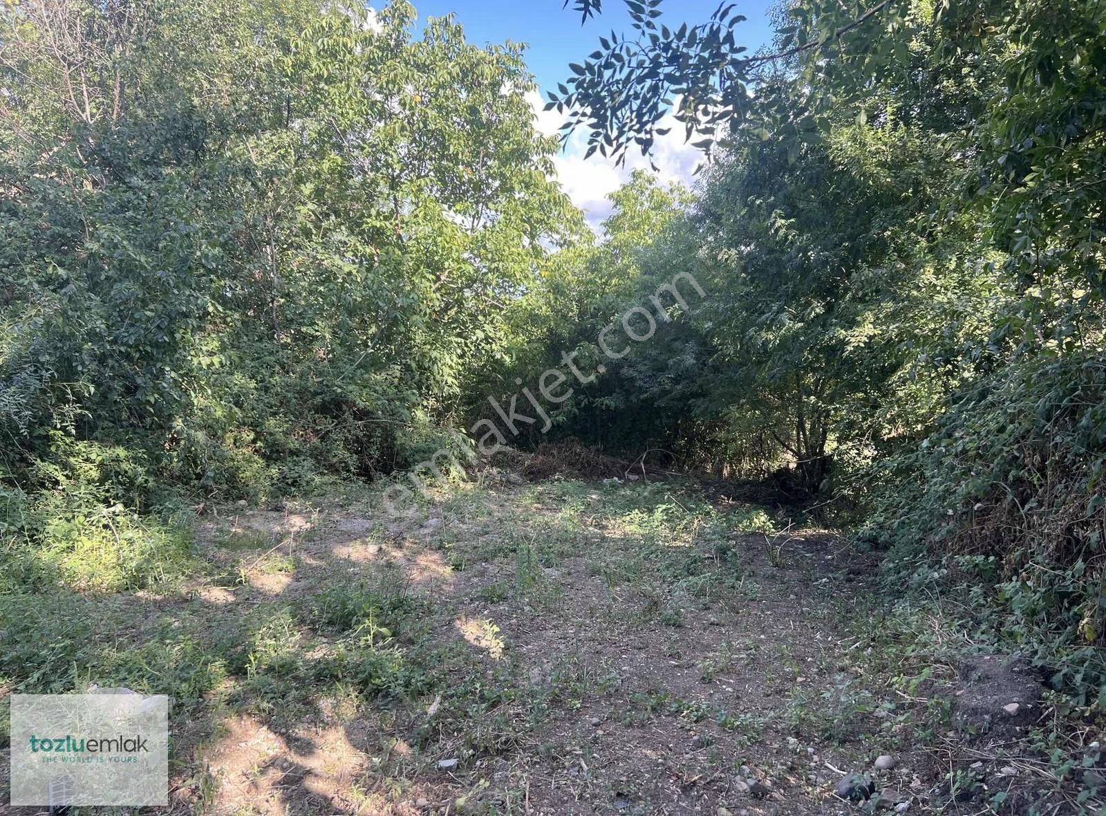 Tozluemlaktan | Kamalı Da Tek Tapu Hobi Bahçesi Arsa