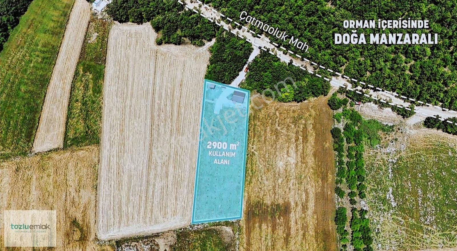 Tozluemlak'tan Çatmaolukta 2900m2 Elektrik Su Açık Tarla Ve Ev! - Görsel 4