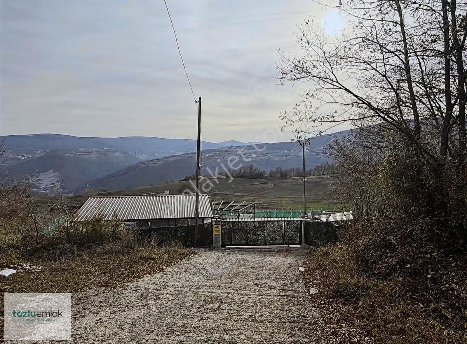 Tozluemlak'tan Çatmaolukta 2900m2 Elektrik Su Açık Tarla Ve Ev! - Görsel 5