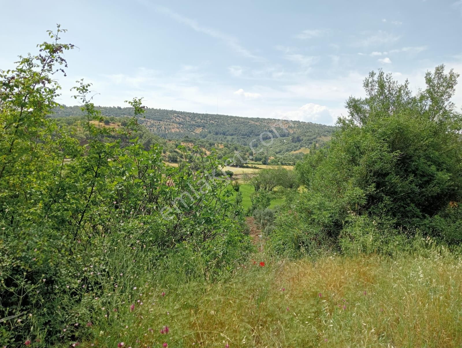 Komutan Emlaktan Dereköyde Karalar Yolu Üzeri 730 M2 Hobi Bahçesi - Görsel 3