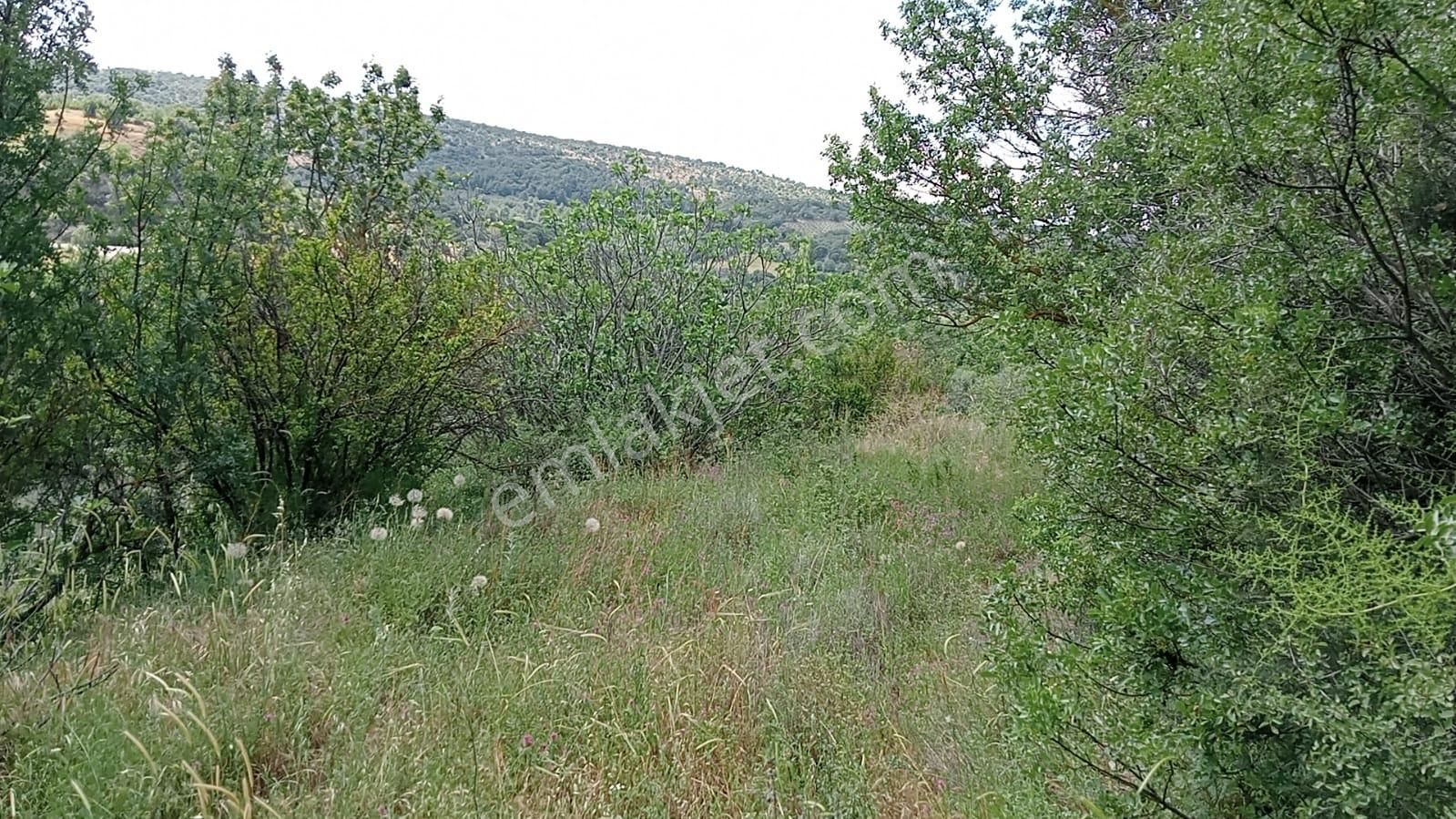 Komutan Emlaktan Dereköyde Karalar Yolu Üzeri 730 M2 Hobi Bahçesi - Görsel 9