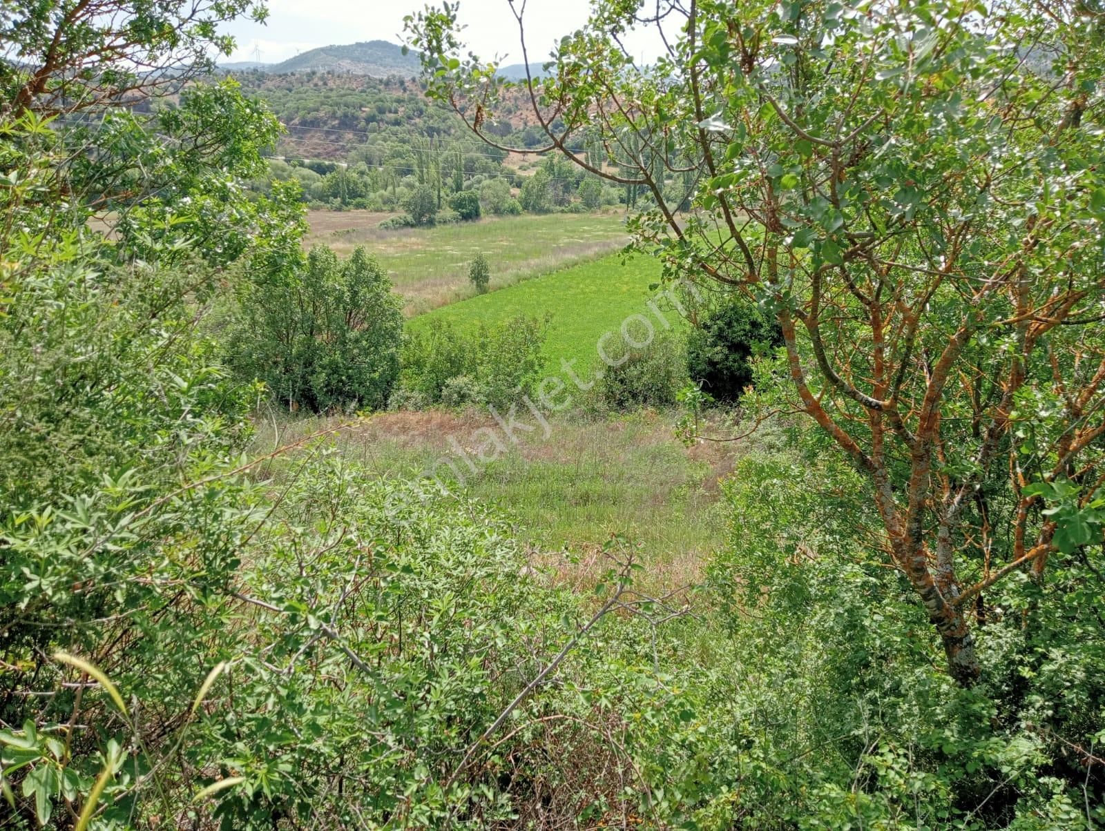Komutan Emlaktan Dereköyde Karalar Yolu Üzeri 730 M2 Hobi Bahçesi - Görsel 4