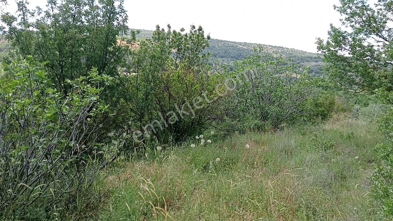 Komutan Emlaktan Dereköyde Karalar Yolu Üzeri 730 M2 Hobi Bahçesi - Görsel 11