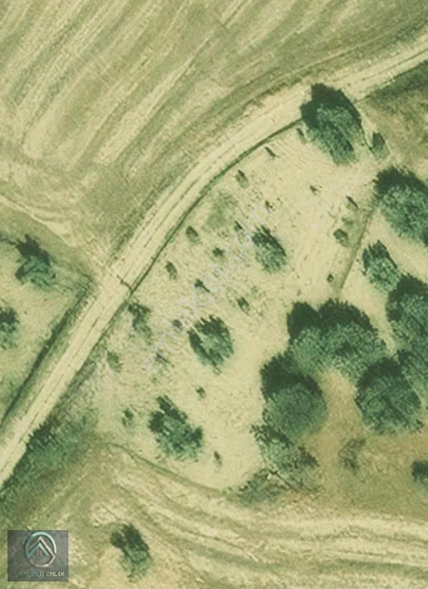 Çanakkale Merkez Erenköy İntepede 1157 M2 Tarla Asfalta Yakın - Görsel 2