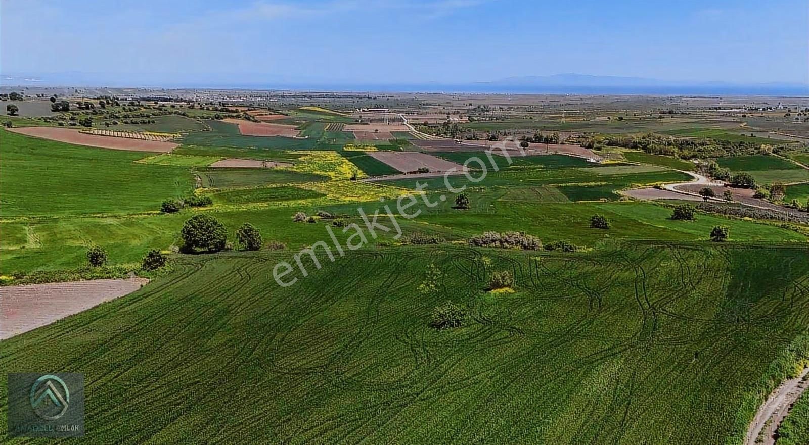 Çanakkale Biga Koruoba Deniz,kadastro Ve Köy Yoluna Yakın Tarla - Görsel 9