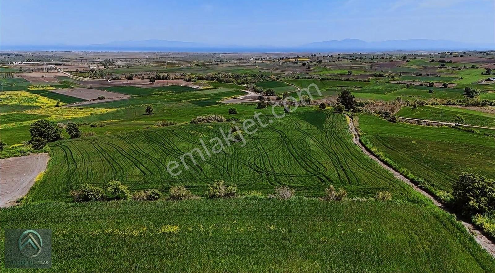 Çanakkale Biga Koruoba Deniz,kadastro Ve Köy Yoluna Yakın Tarla - Görsel 4