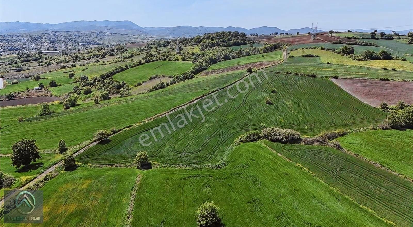 Çanakkale Biga Koruoba Deniz,kadastro Ve Köy Yoluna Yakın Tarla - Görsel 6