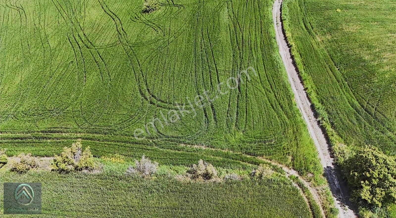 Çanakkale Biga Koruoba Deniz,kadastro Ve Köy Yoluna Yakın Tarla - Görsel 8
