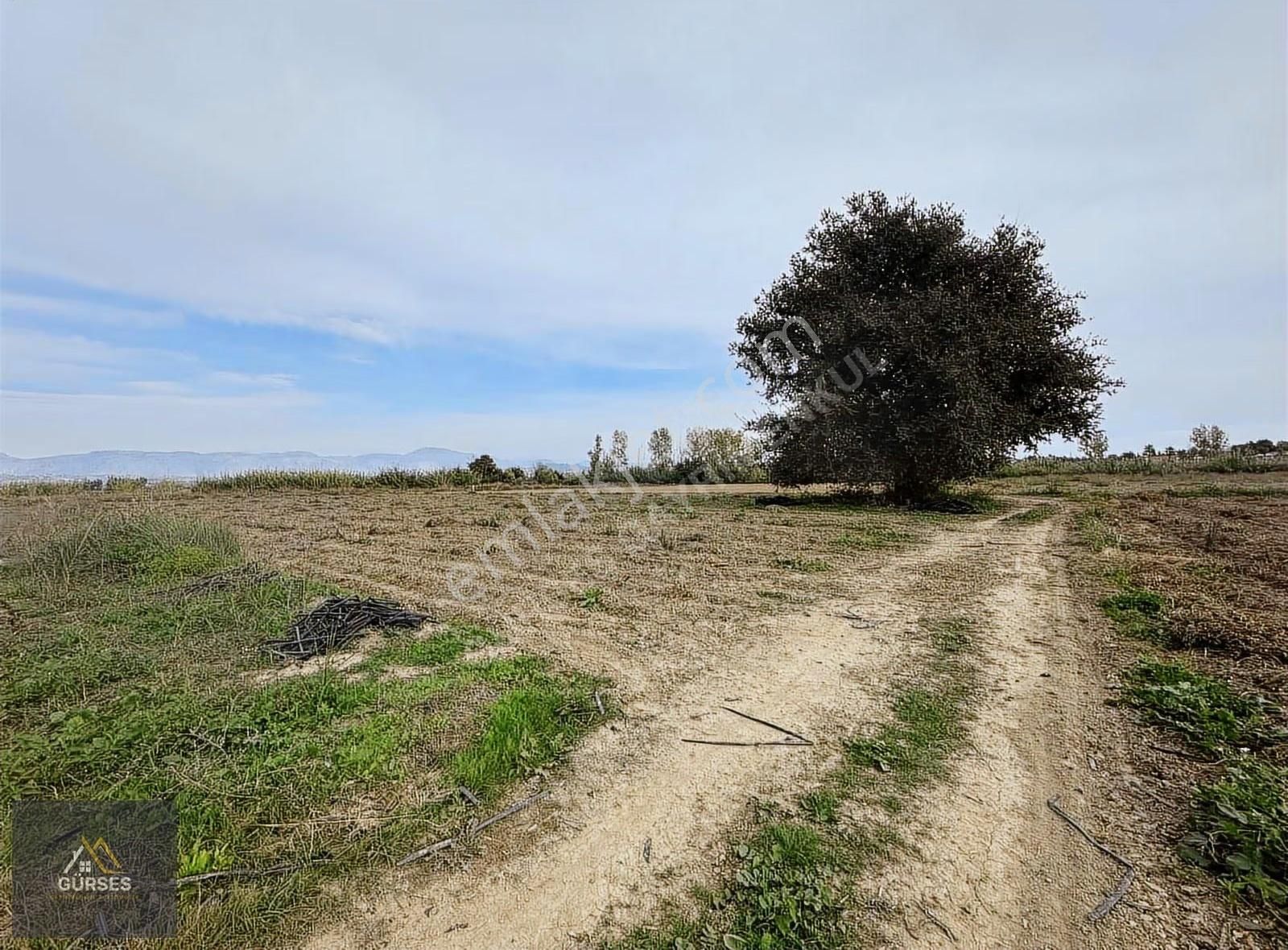 Ulualan Halk Plajı Karşısı Tta Lı Hotel Arazisi