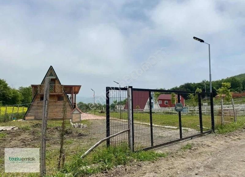 Tozluemlak'tan Çatmaolukda Satılık Tarla - Görsel 4