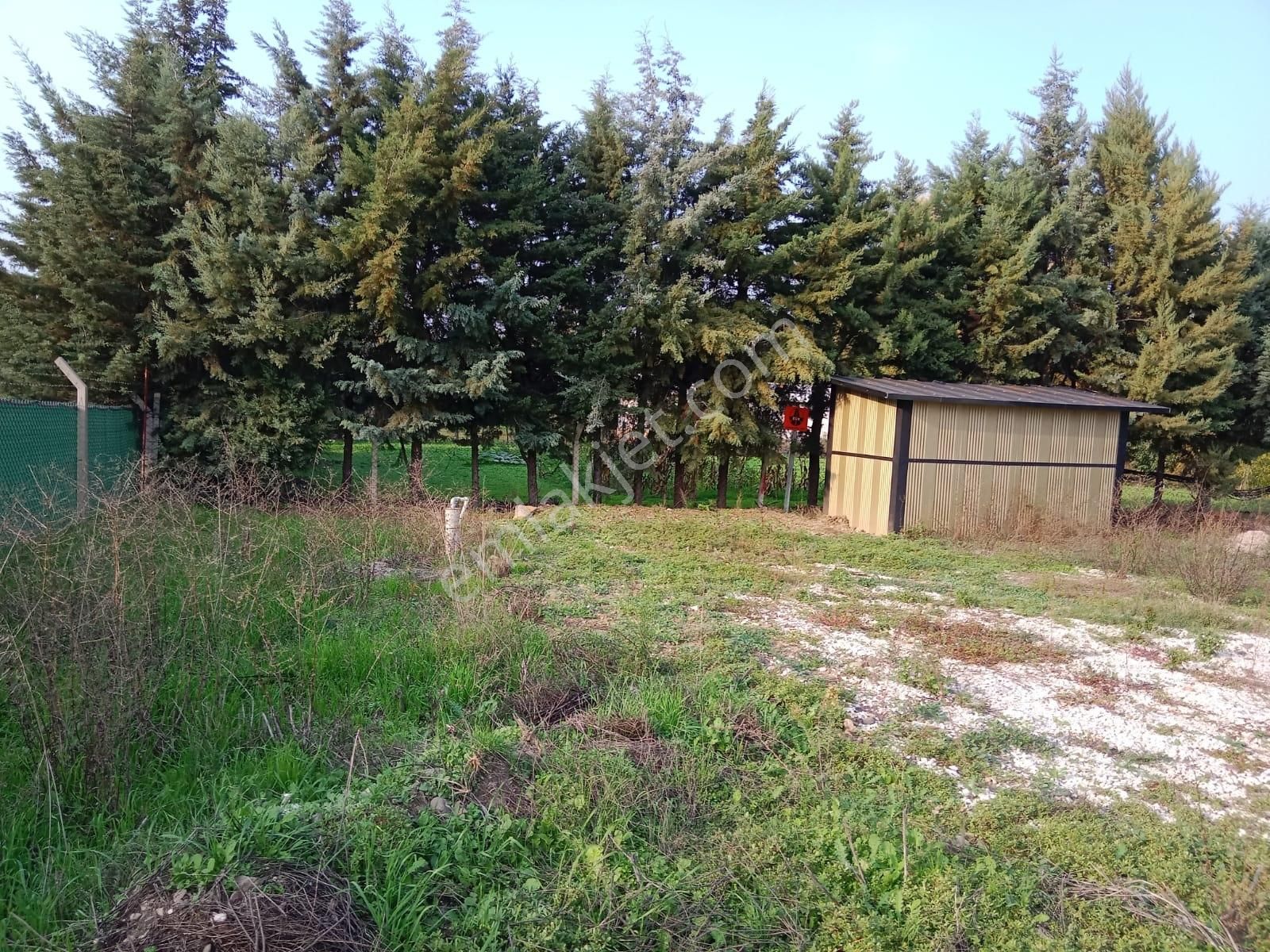 Mir'denbalıkesir Ayvacık'da Hobi Bahçeli Satılık Müstakil Ev - Görsel 5