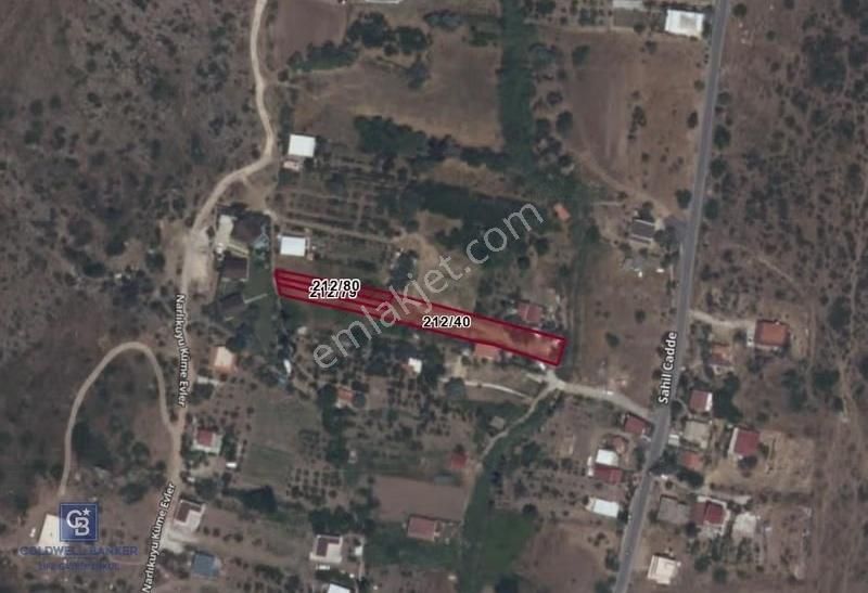 Urla Zeytineli Resmi Yolu Olan Denize 1km 1645m2 Satılık Tarla - Görsel 4
