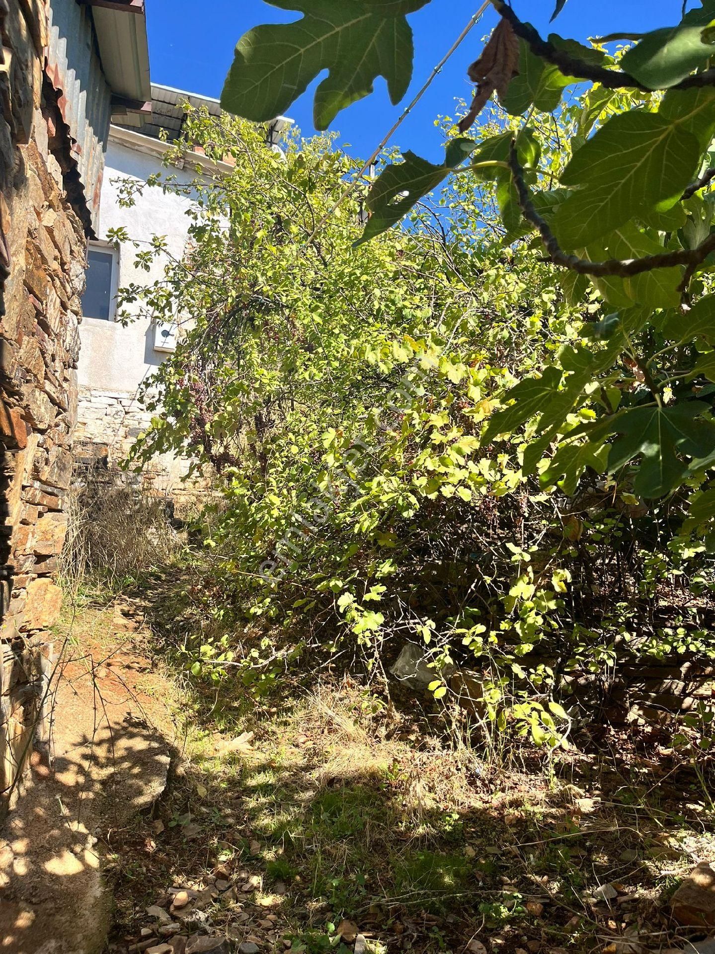 Balcılar Köyünde Satılık İki Katlı Kargir Ev Ve Ahır Avlusu - Görsel 6