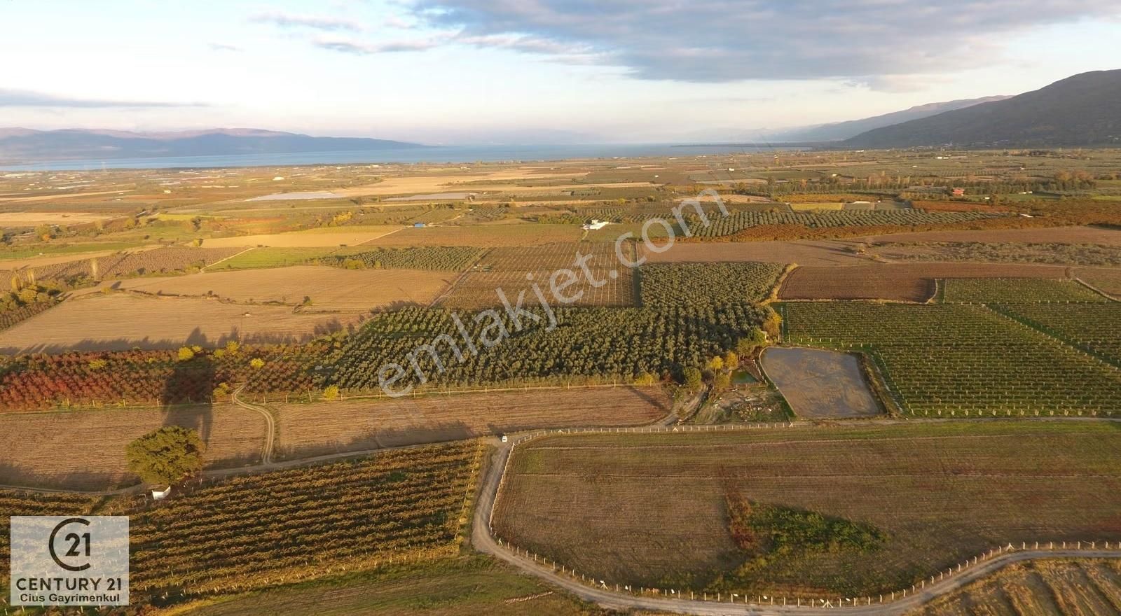 C21 Cius;yenigürle Ovasında 21.500 M2 Su Ve Elektirği Olan Tarla - Görsel 7