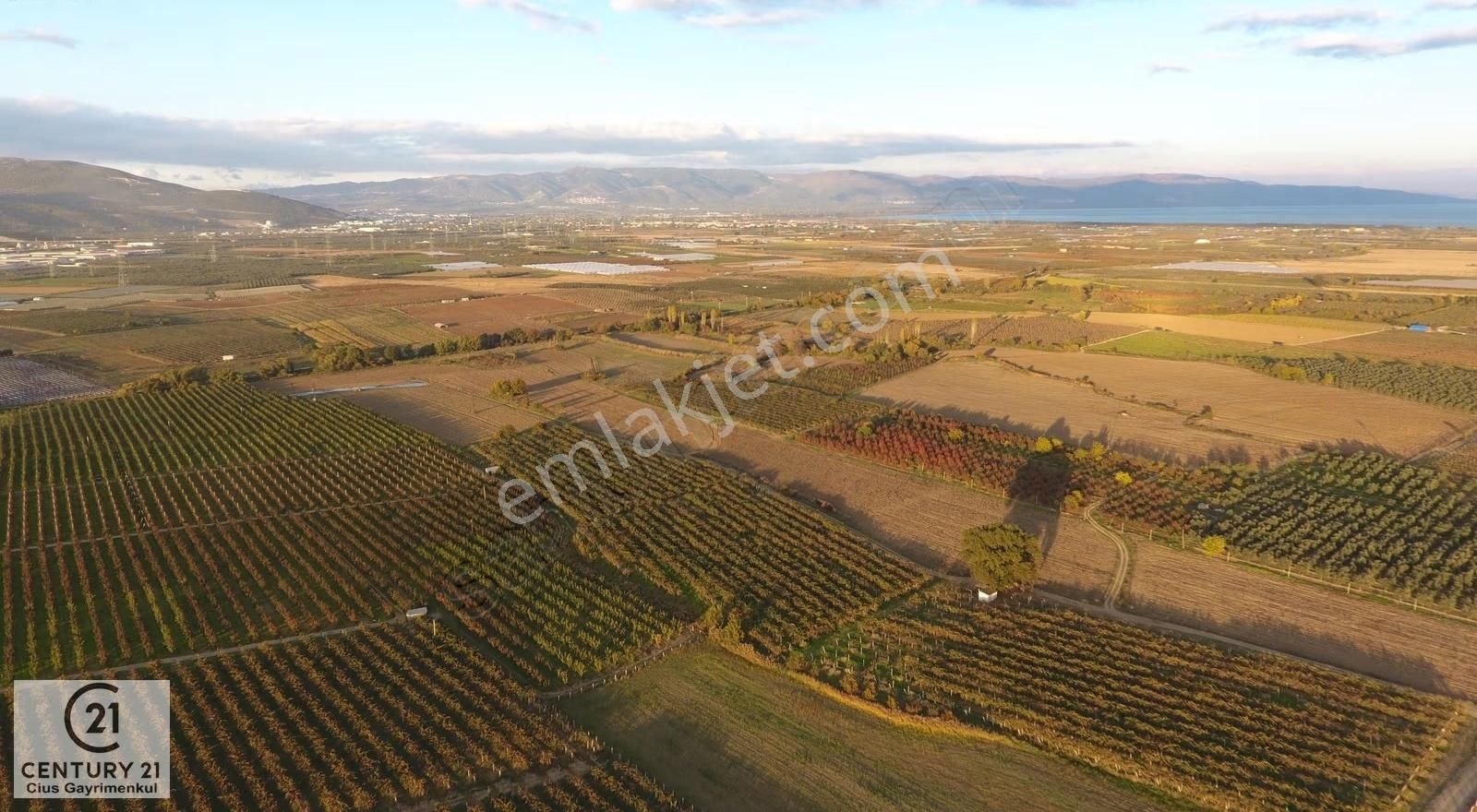 C21 Cius;yenigürle Ovasında 21.500 M2 Su Ve Elektirği Olan Tarla - Görsel 6