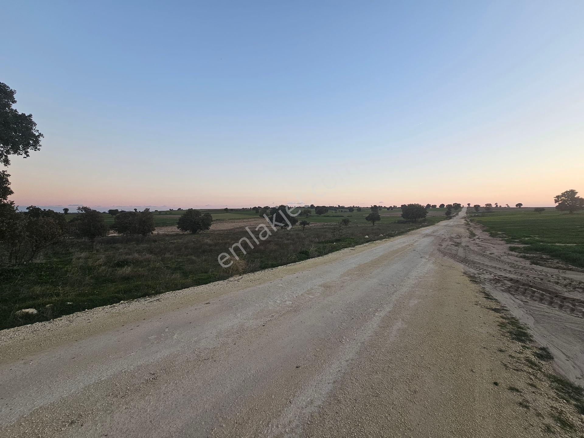 Enez Sultaniçede Satılık Tarla Yol Cepheli 1.463 M² - Görsel 9
