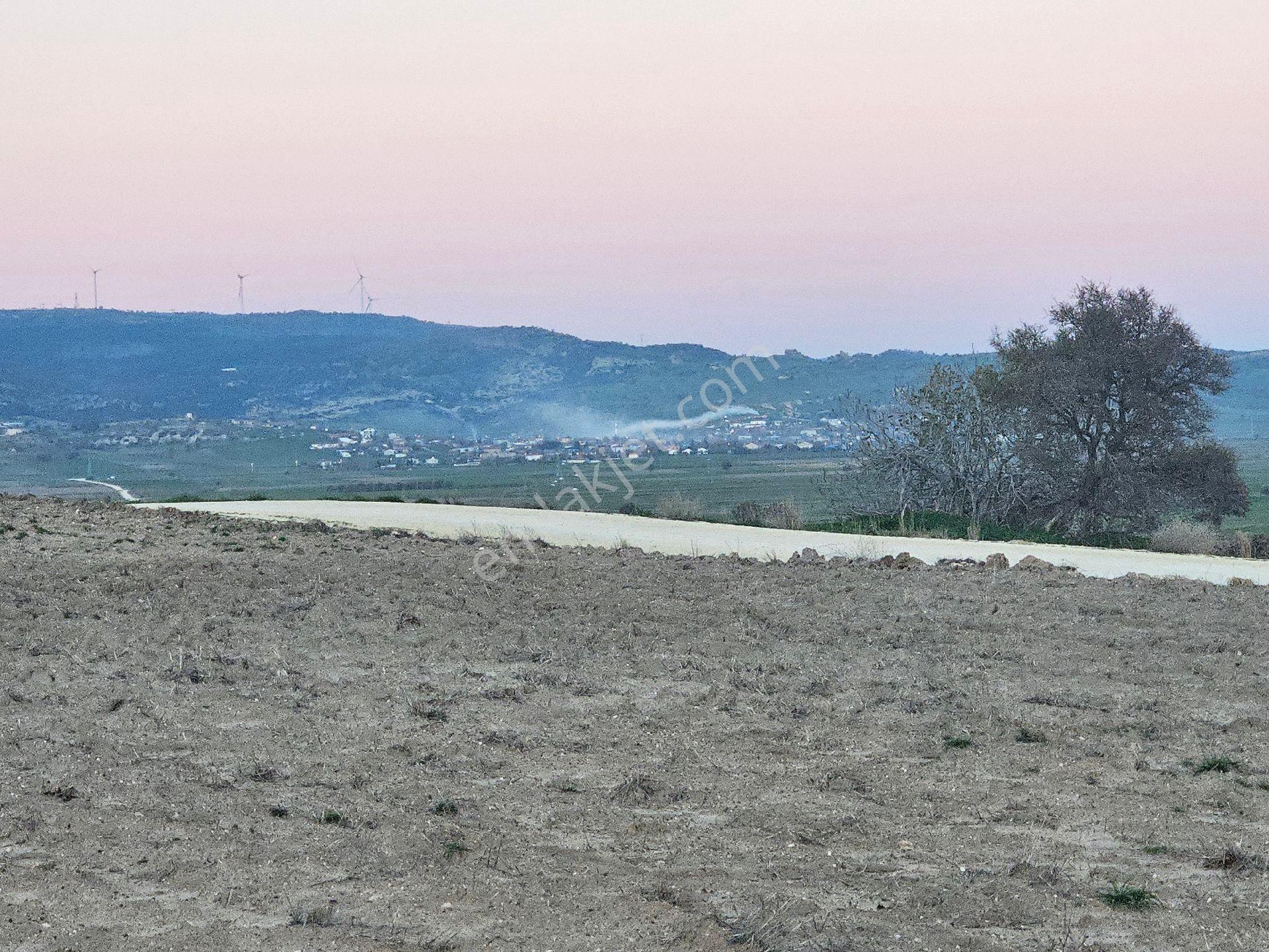 Enez Sultaniçede Satılık Tarla Yol Cepheli 1.463 M² - Görsel 11
