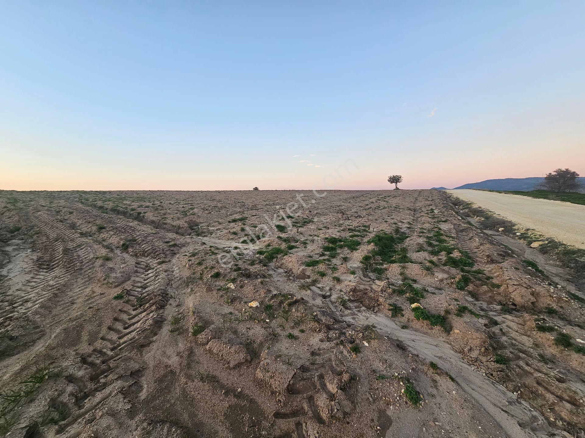 Enez Sultaniçede Satılık Tarla Yol Cepheli 1.463 M² - Görsel 8