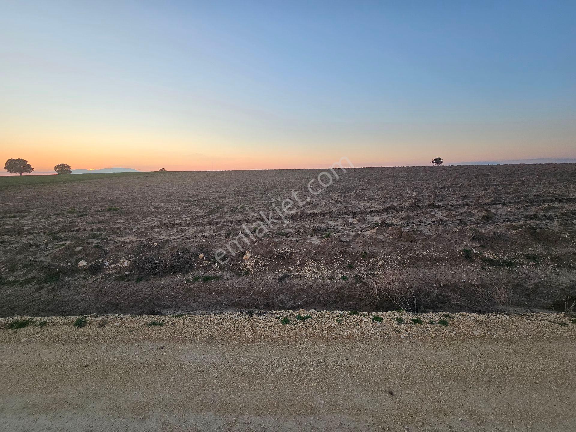 Enez Sultaniçede Satılık Tarla Yol Cepheli 1.463 M² - Görsel 3