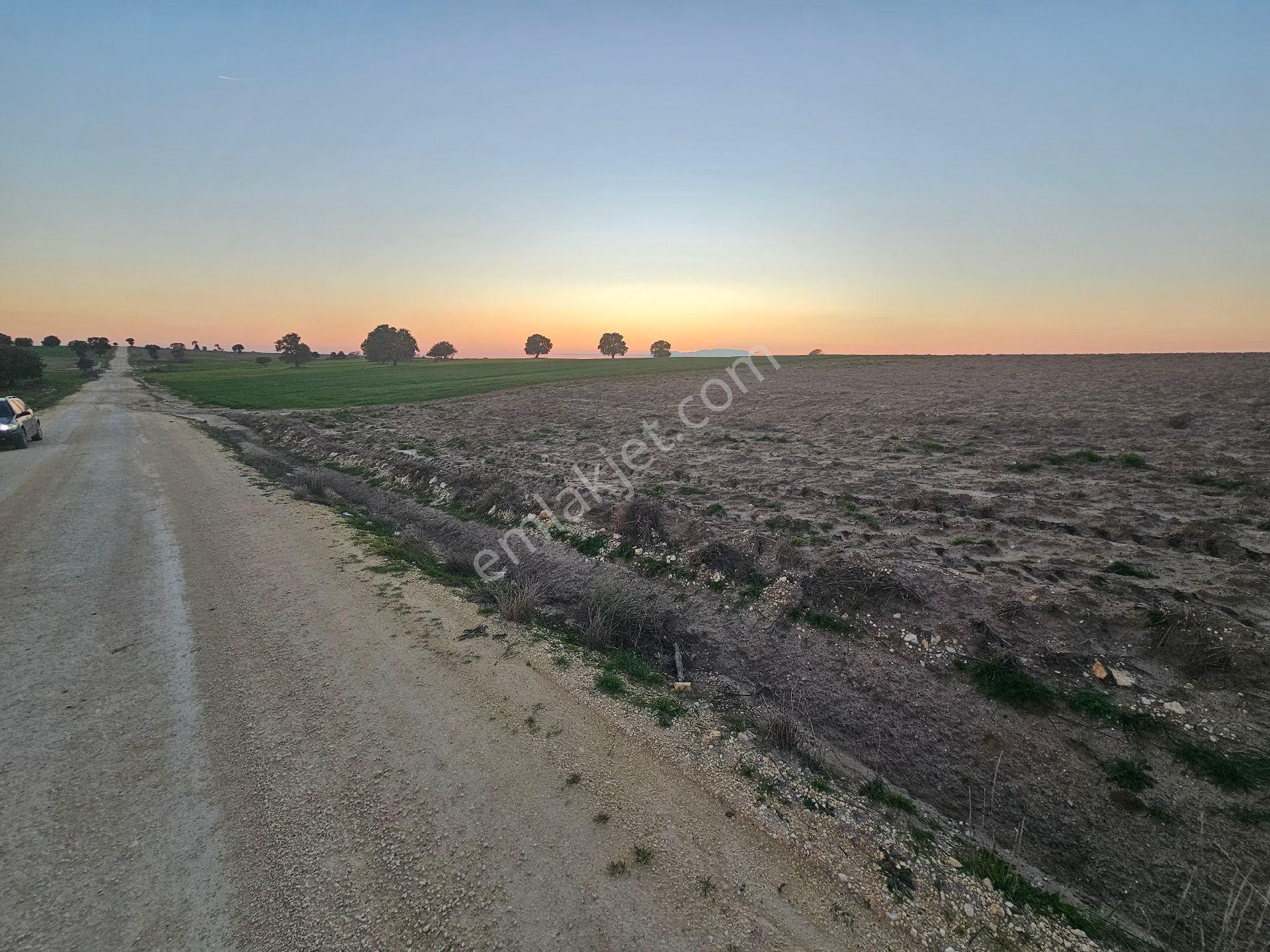 Enez Sultaniçede Satılık Tarla Yol Cepheli 1.463 M² - Görsel 4