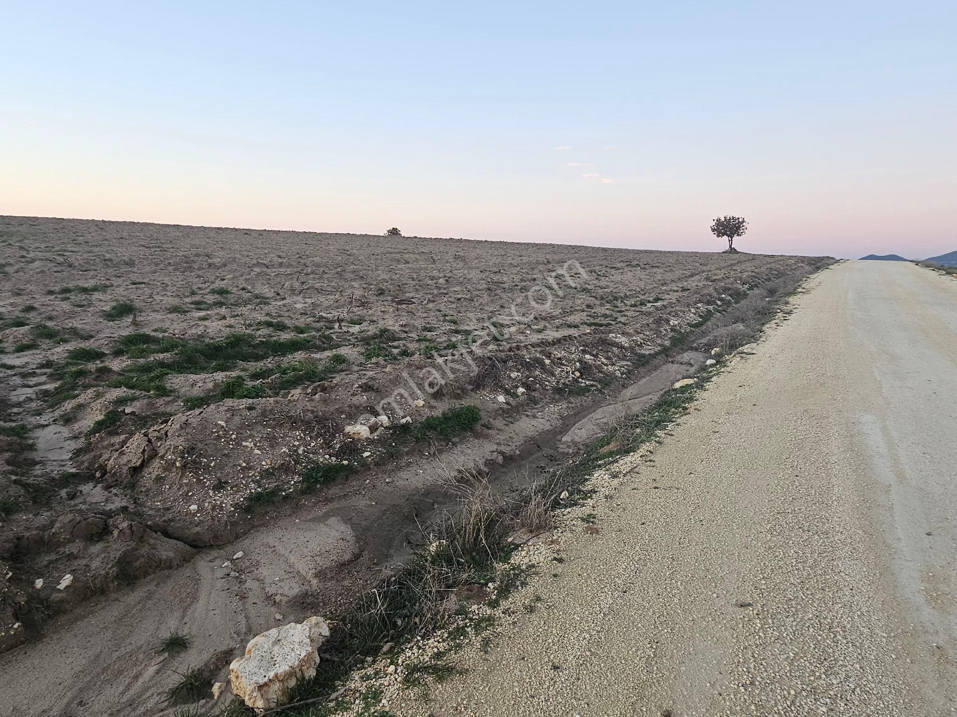 Enez Sultaniçede Satılık Tarla Yol Cepheli 1.463 M² - Görsel 15