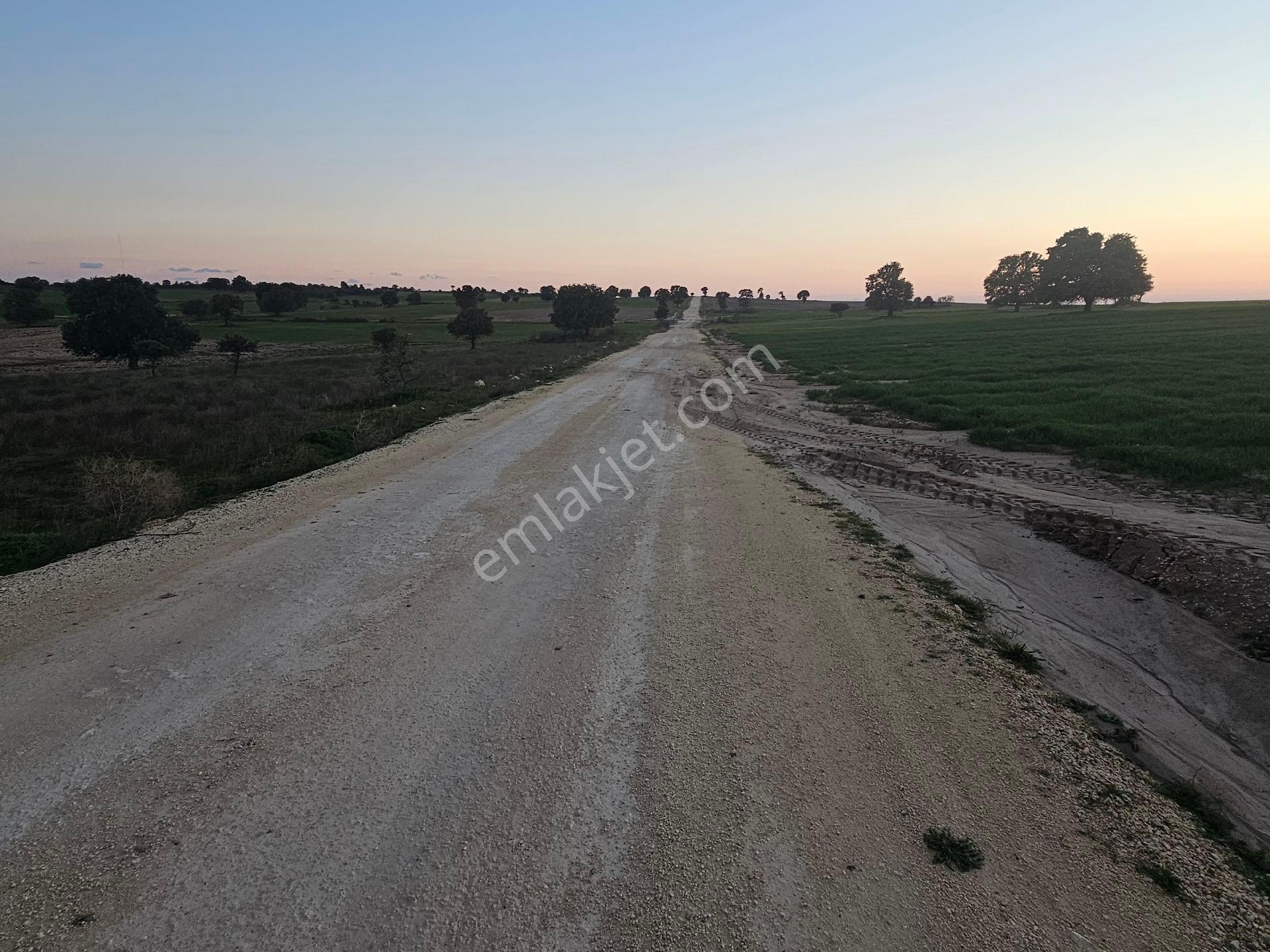 Enez Sultaniçede Satılık Tarla Yol Cepheli 1.463 M² - Görsel 14