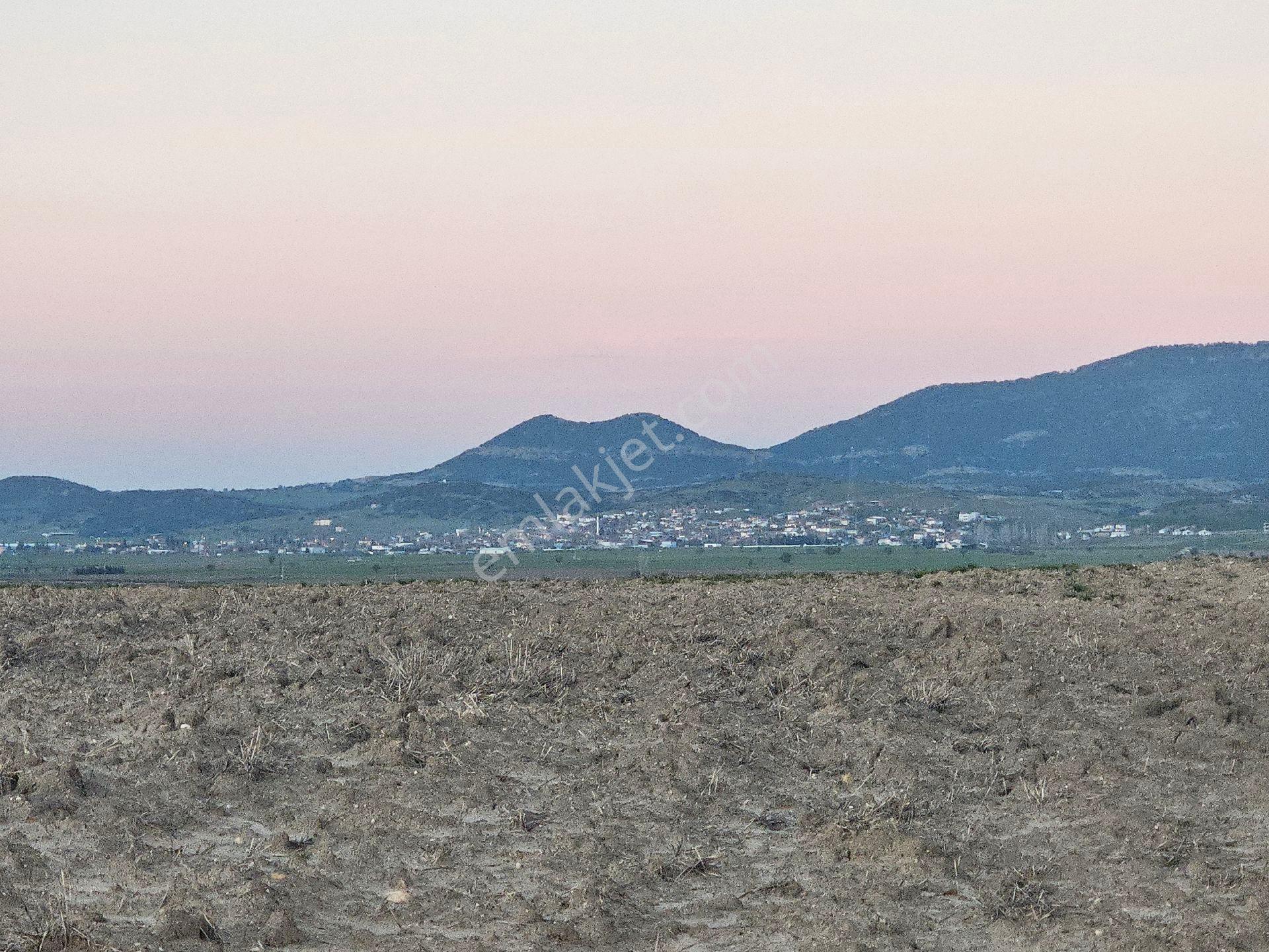 Enez Sultaniçede Satılık Tarla Yol Cepheli 1.463 M² - Görsel 12