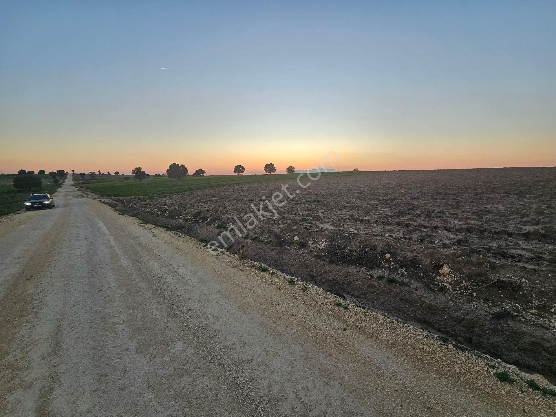 Enez Sultaniçede Satılık Tarla Yol Cepheli 1.463 M² - Görsel 2