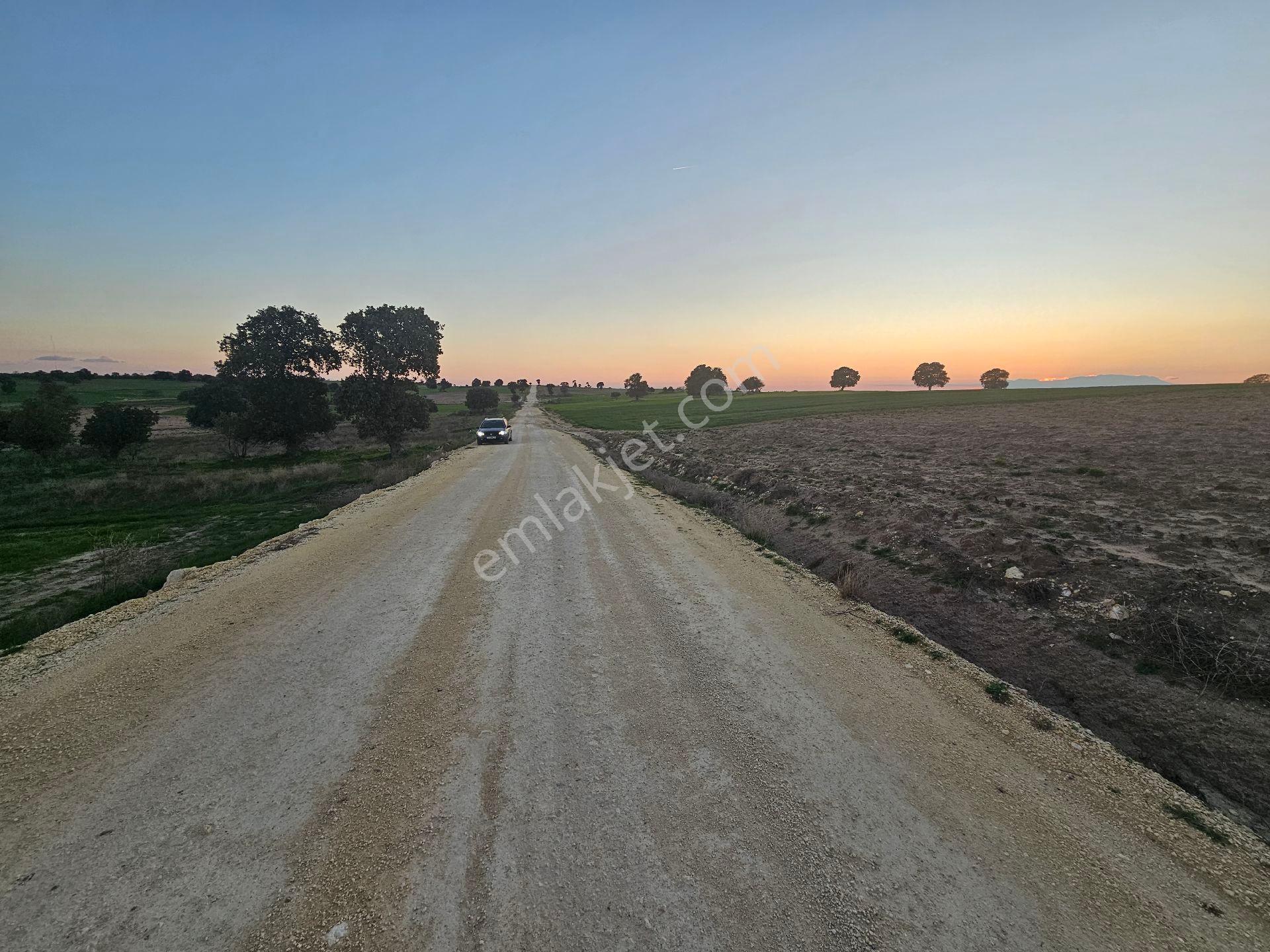 Enez Sultaniçede Satılık Tarla Yol Cepheli 1.463 M²