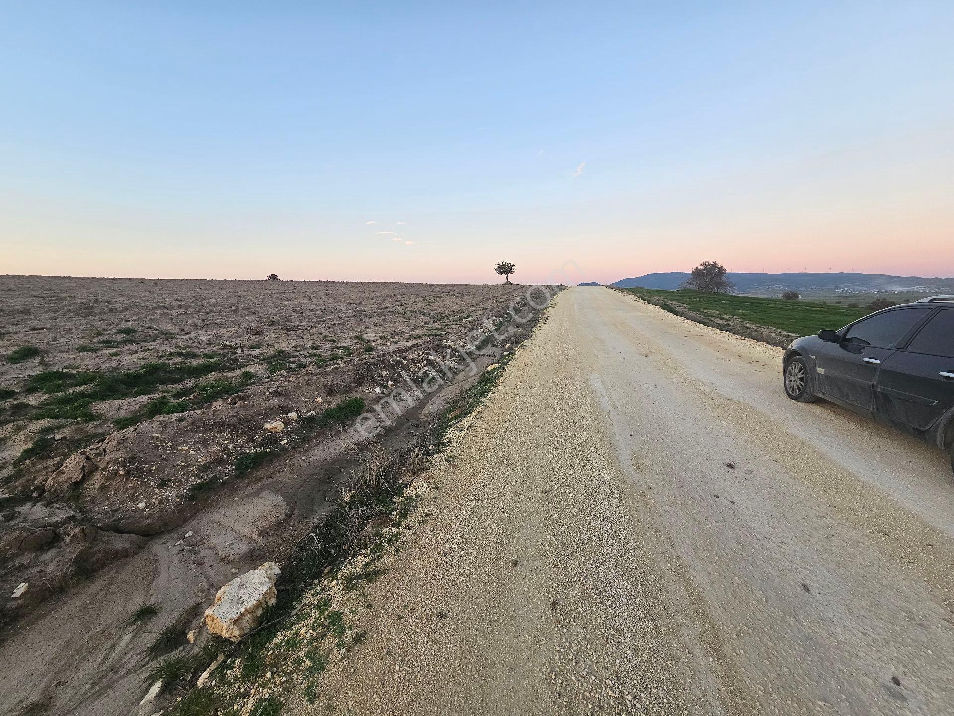 Enez Sultaniçede Satılık Tarla Yol Cepheli 1.463 M² - Görsel 6
